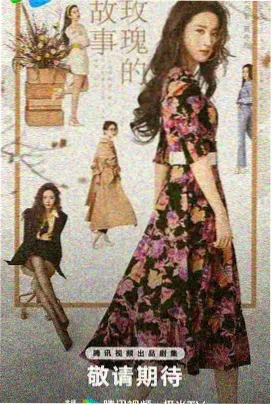 南来北往 西瓜视频免费观看